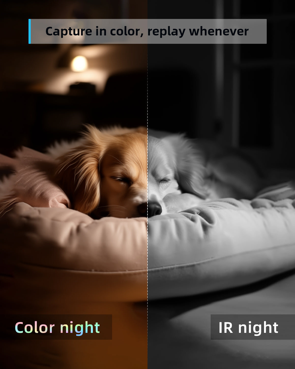 2K Pet Camera with Phone App - 7