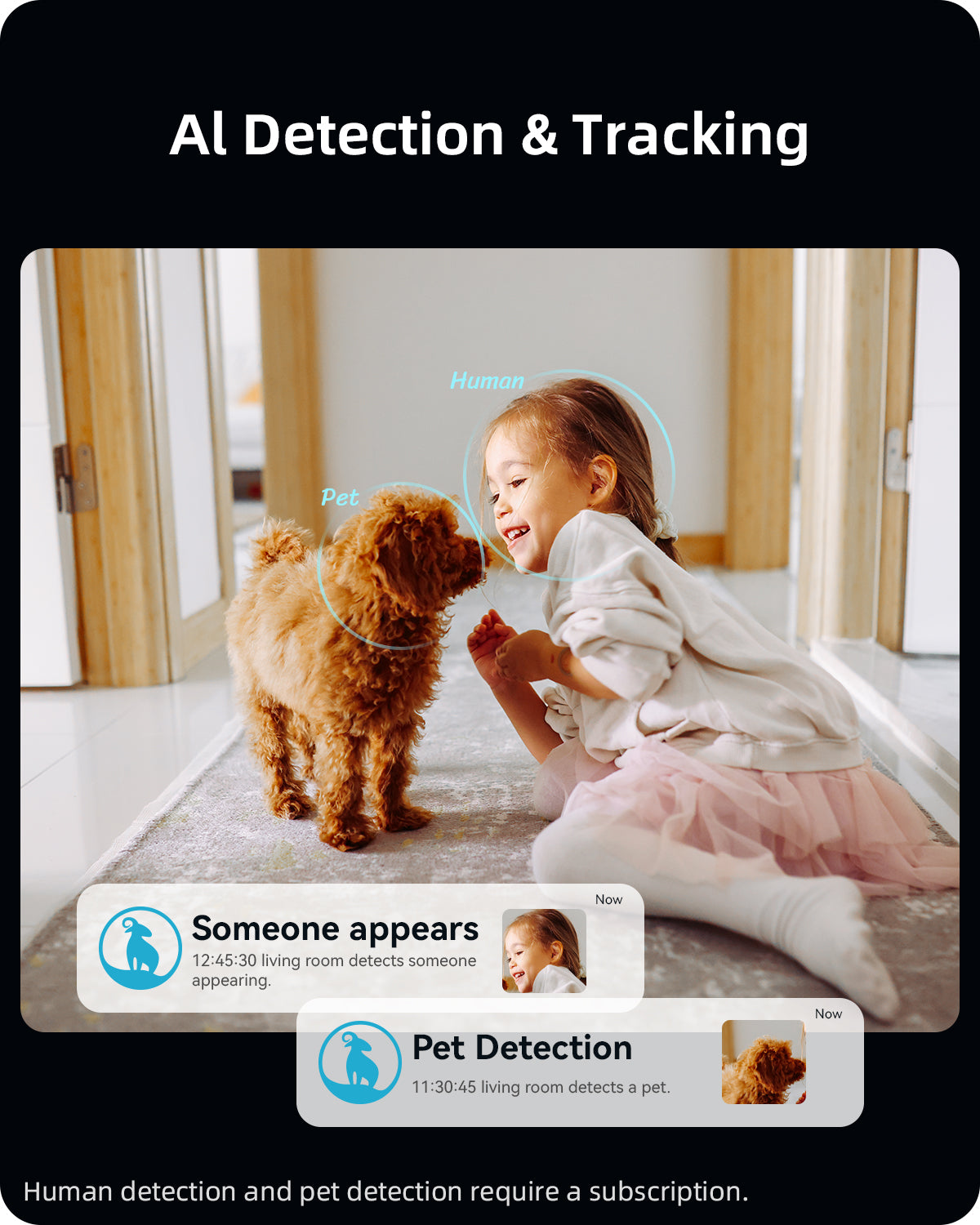 2K Pet 360° Camera - 5