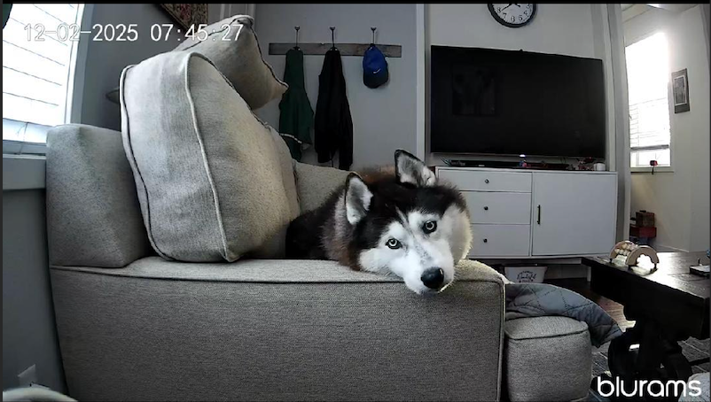 Waiting and missing
