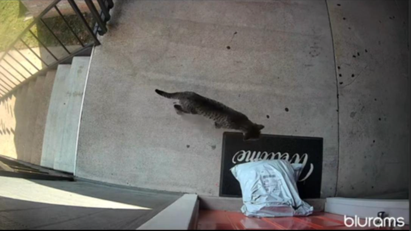 Cat claiming package